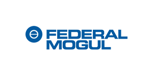 Federal Mogul